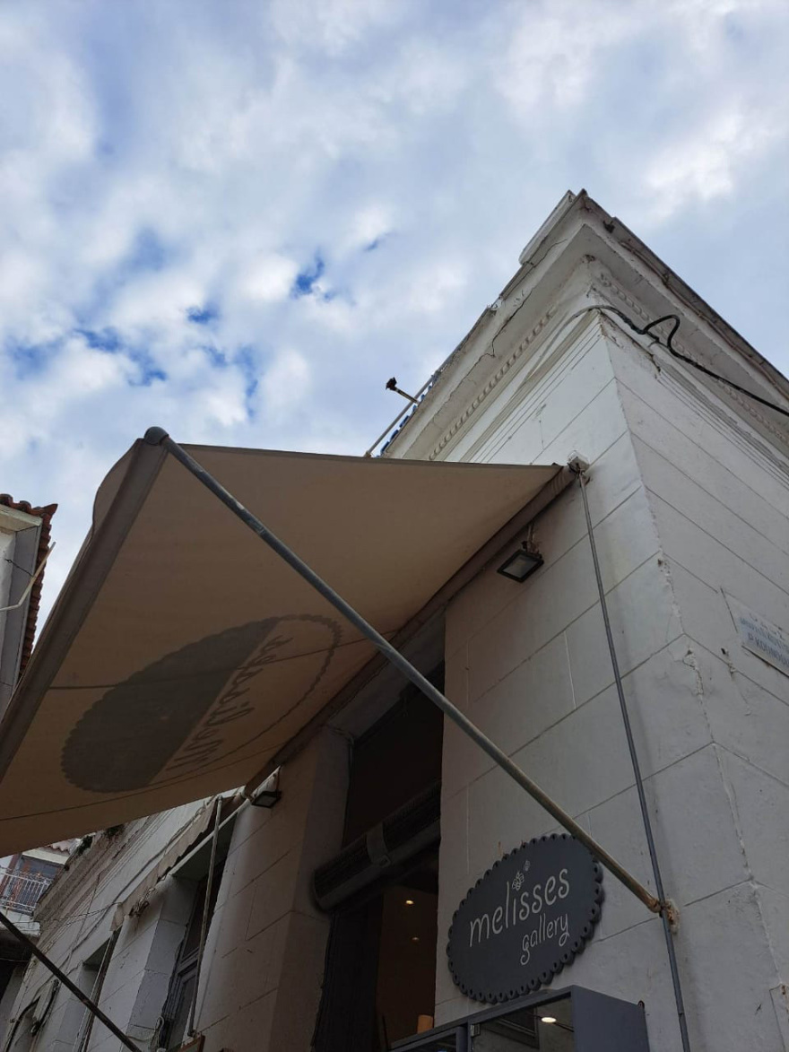 Κακοποίηση γάτας στην Ύδρα: Στα κρατητήρια μέχρι να απολογηθεί ο άνδρας που την πέταξε από 8 μέτρα