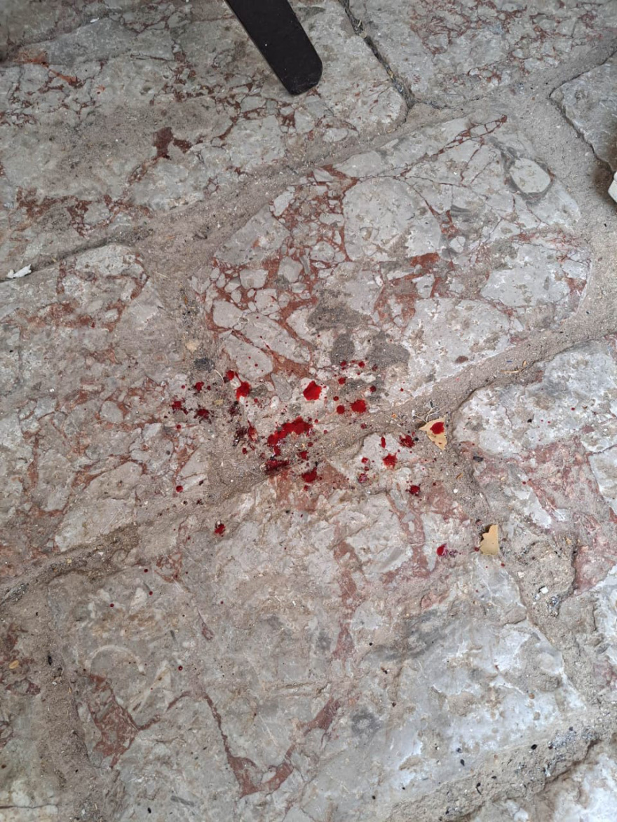 Κακοποίηση γάτας στην Ύδρα: Στα κρατητήρια μέχρι να απολογηθεί ο άνδρας που την πέταξε από 8 μέτρα