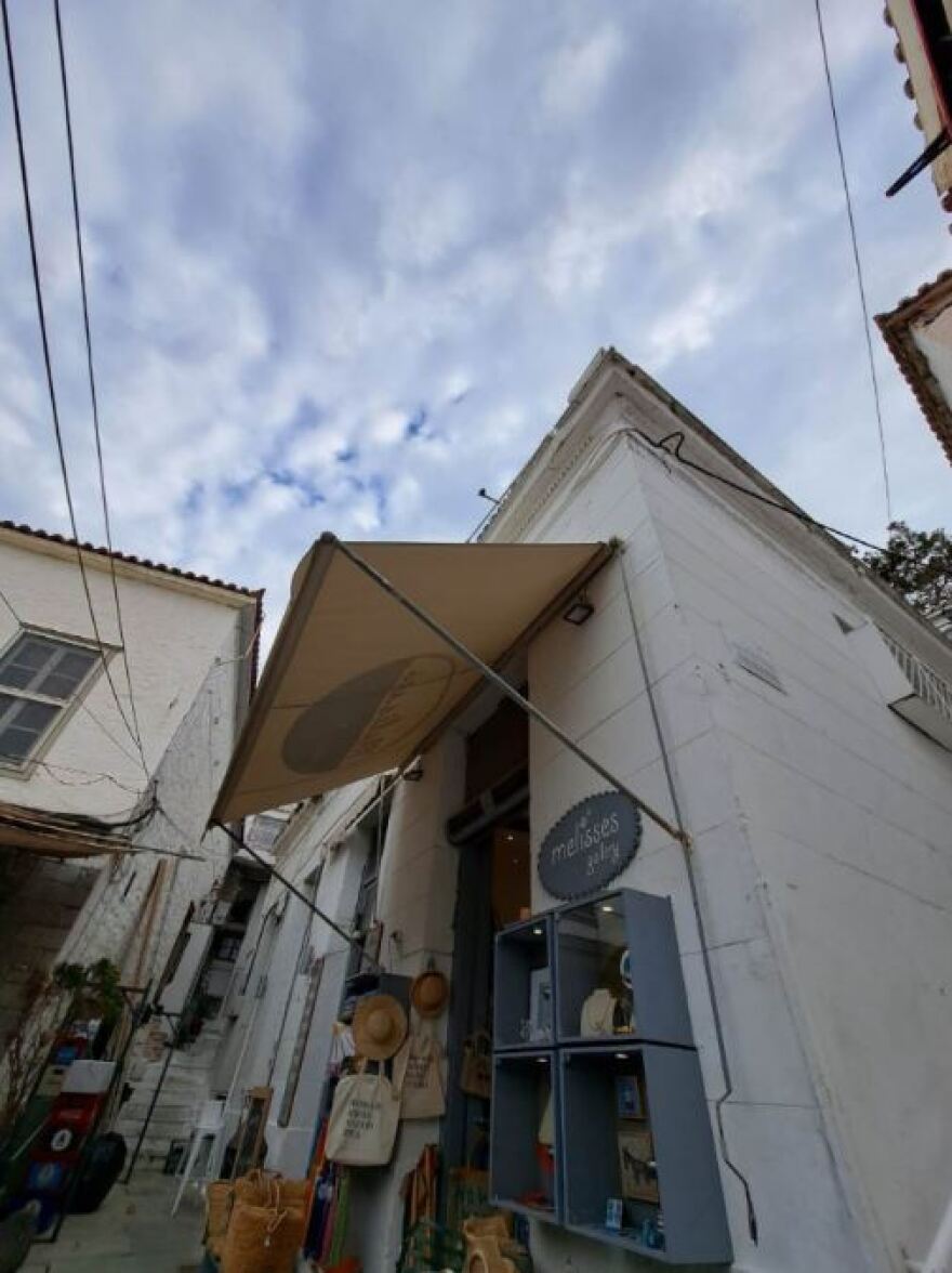 Ύδρα: «Έχεις πρόβλημα; Εγώ έριξα τη γάτα απ' την ταράτσα»! - Απίστευτο περιστατικό κακοποίησης, υπό κράτηση ο δράστης