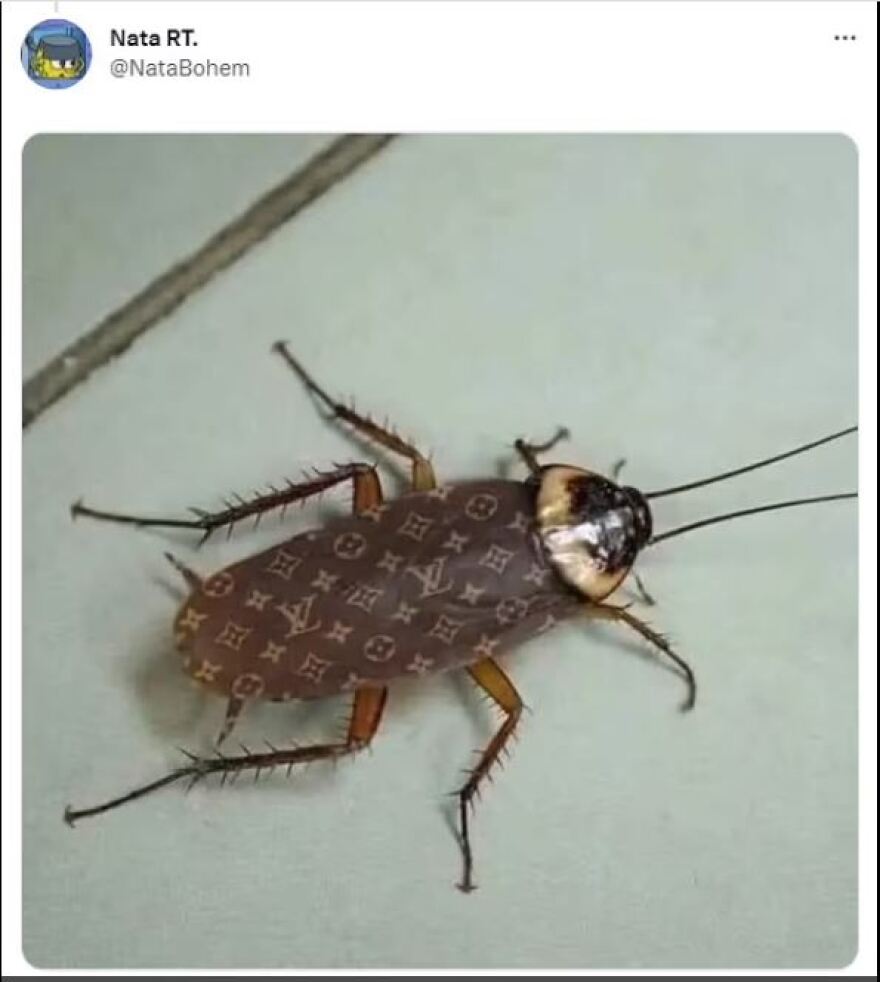 Met Gala 2023: Κατσαρίδα έγινε viral όταν περπάτησε στο κόκκινο χαλί λίγο πριν βγει η Ριάνα- Βίντεο