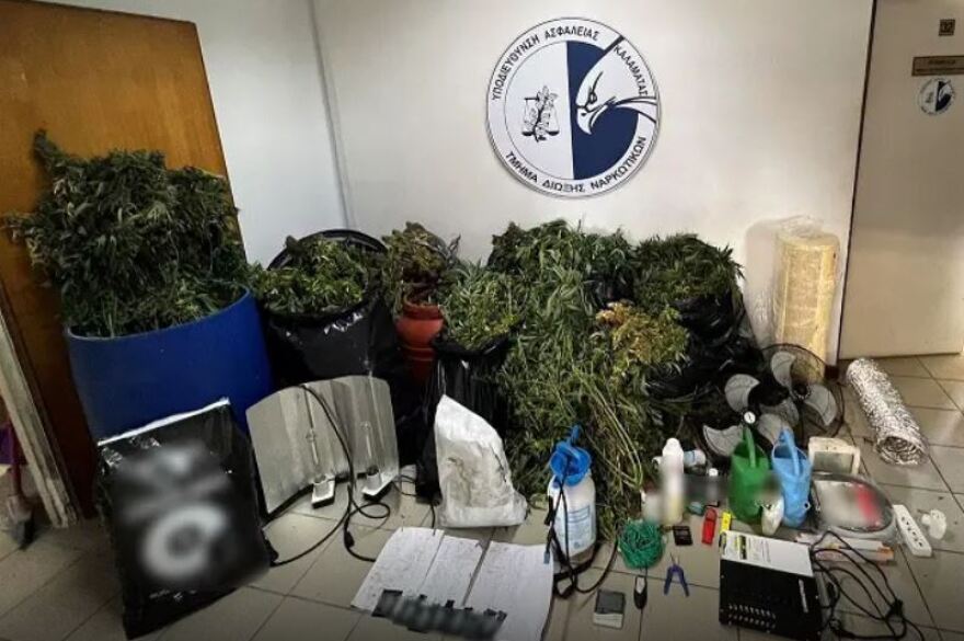 Αττική: Είχαν μετατρέψει βίλες σε «εργοστάσια» παραγωγής κάνναβης - Πάνω από 700.000 ευρώ τα κέρδη τους