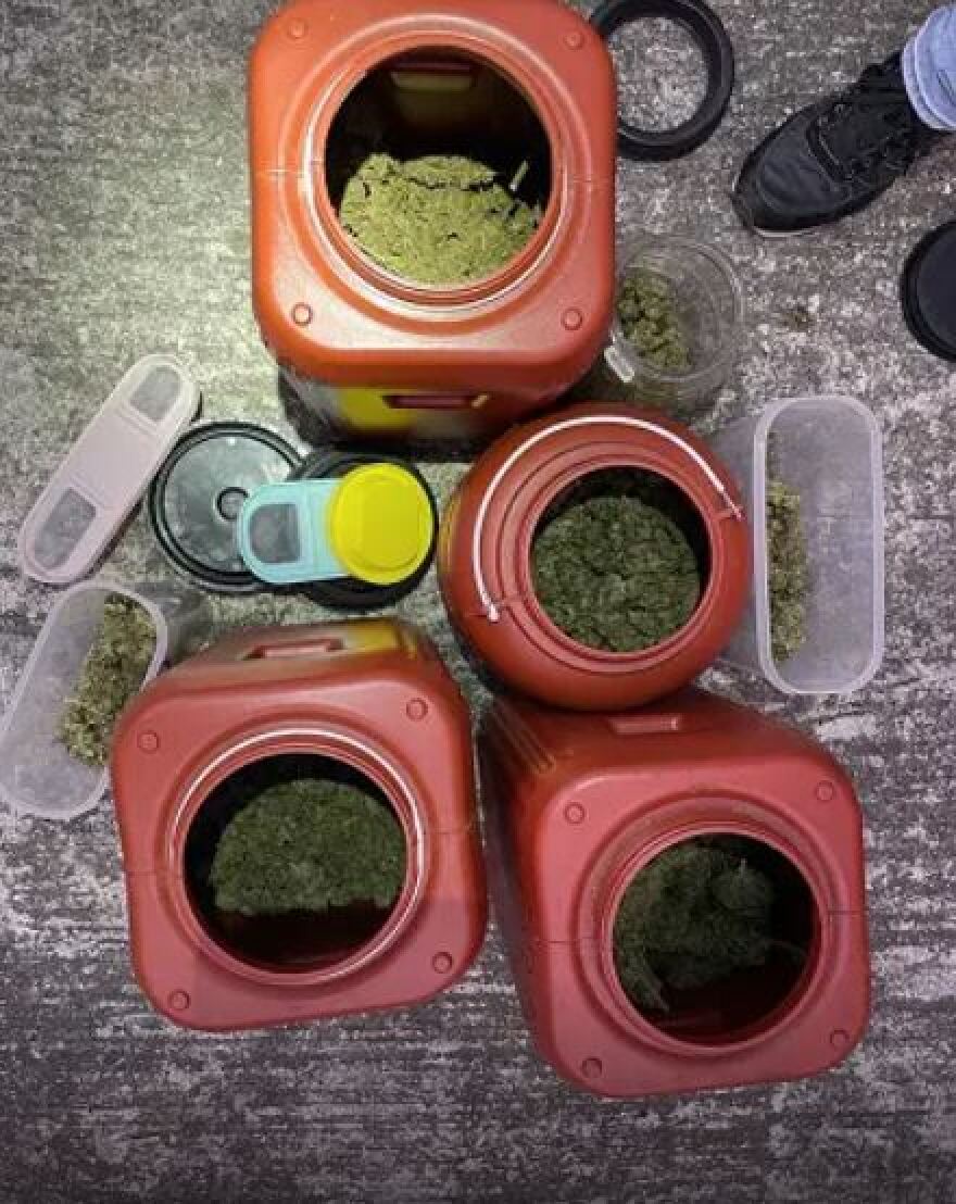 Αττική: Είχαν μετατρέψει βίλες σε «εργοστάσια» παραγωγής κάνναβης - Πάνω από 700.000 ευρώ τα κέρδη τους