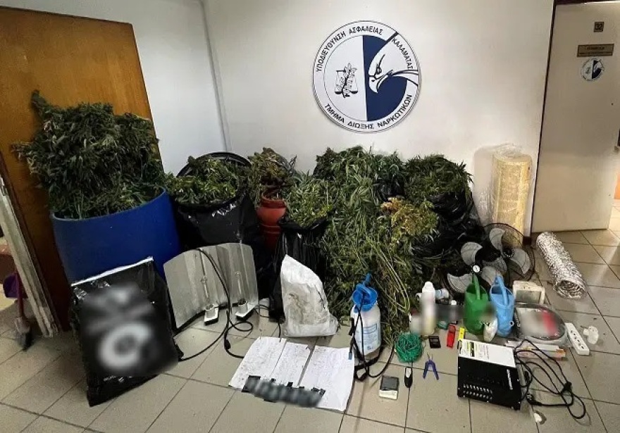 Καλλιεργούσαν κάνναβη σε απομονωμένες βίλες της Αττικής - Βρέθηκαν πάνω από 30 κιλά
