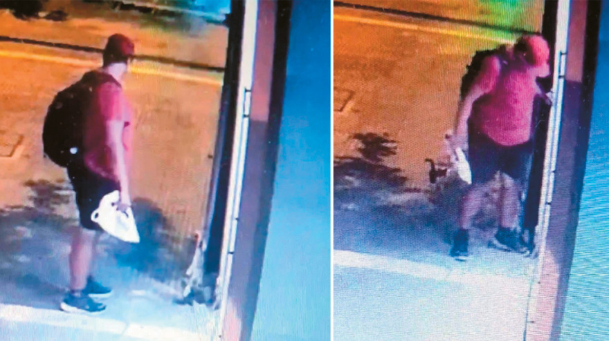 Tι σου φταίει το καημένο το ζωάκι, βρε κτήνος; - 2.500 καταγγελίες για κακοποίηση μέσα σε έξι μήνες