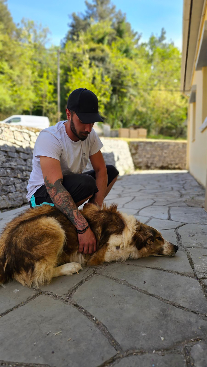 Save a Greek Stray: Δράσεις για τα αδέσποτα στους δήμους Ζηρού, Πρέβεζας και Πάργας