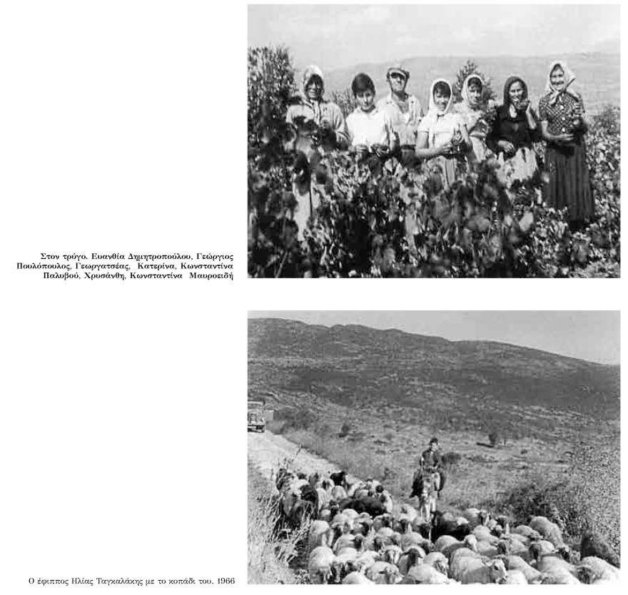  Η Καρύταινα μέσα από τη φωτογραφική μηχανή του χρόνου - Εκθεση φωτογραφίας «Θυμόμαστε-Νοσταλγούμε» (video)