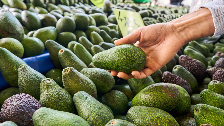 Πώς εξηγείται η παγκόσμια τρέλα με το αβοκάντο;