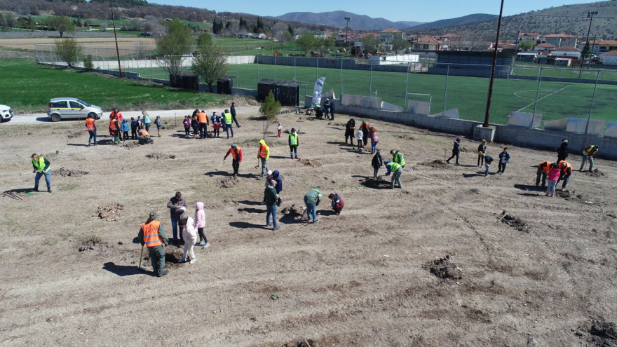 Δενδροφυτεύσεις και εκπαιδεύσεις από τη ΔΕΗ και τη We4all