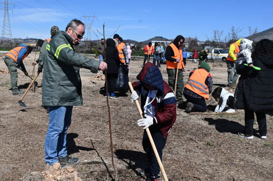 Δενδροφυτεύσεις και εκπαιδεύσεις από τη ΔΕΗ και τη We4all