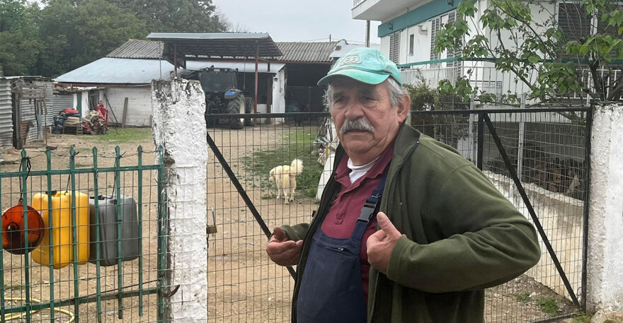 Σύλληψη και πρόστιμο 5.000 ευρώ στον 70χρονο που κατηγορείται για κακοποίηση σκύλου στον Λαγκαδά 