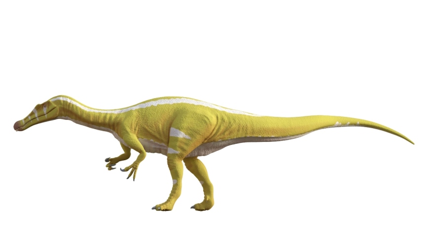 Ισπανία: Απολιθώματα αποκαλύπτουν νέο είδος δεινόσαυρου - Δείτε φωτογραφίες