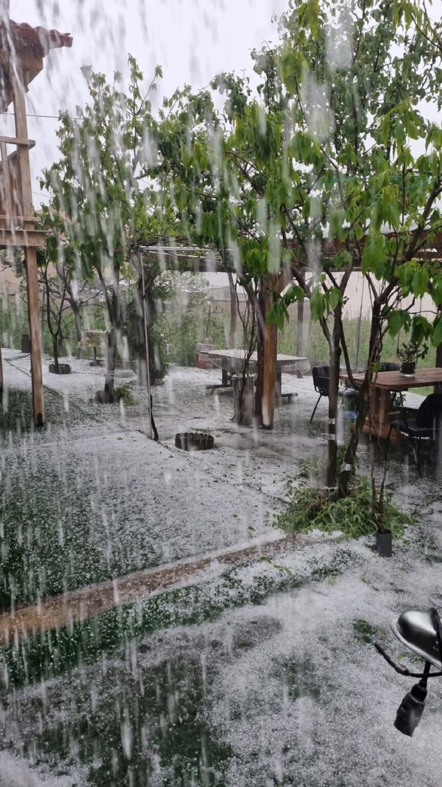 Μεγάλες καταστροφές σε καλλιέργειες από χαλάζι στην Καρυά Ολύμπου