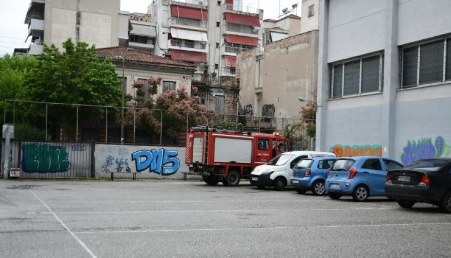 Εκλογές 2023 - Ευτράπελα και απρόοπτα της κάλπης - Ο αγρότης με το άλογο, ο σκύλος και οι νεόνυμφοι (βίντεο και φωτογραφίες)