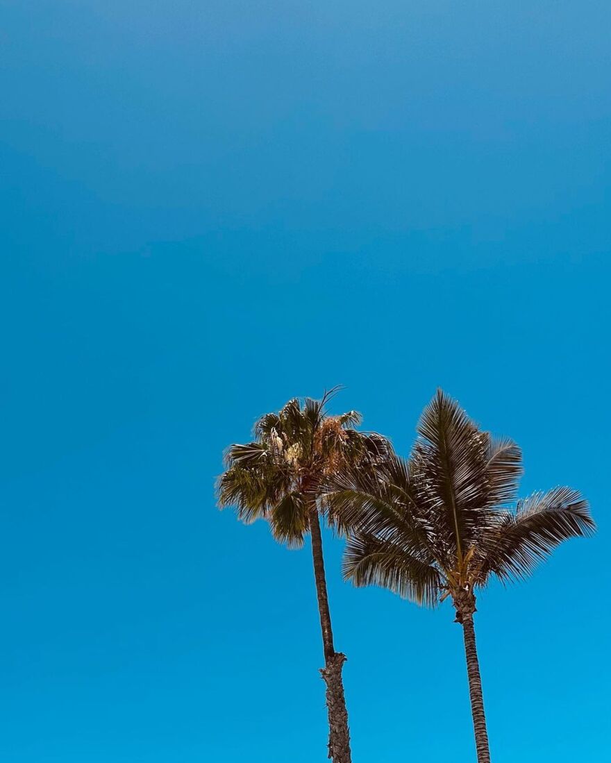 Γιάννης Κουκουράκης: Το φωτογραφικό άλμπουμ από το ταξίδι του στην Ισπανία