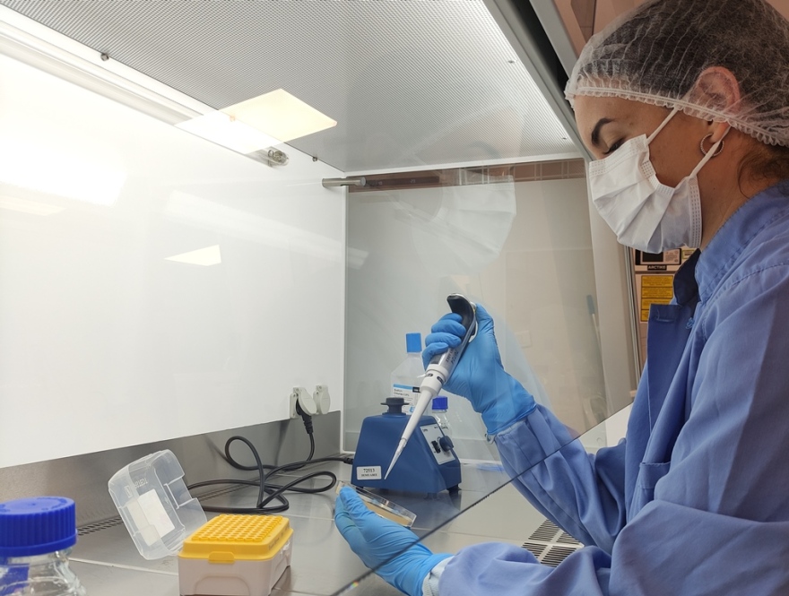 Από το brain drain στο brain gain: Πως το επενδυτικό πλάνο της DEMO στηρίζει τους νέους επιστήμονες