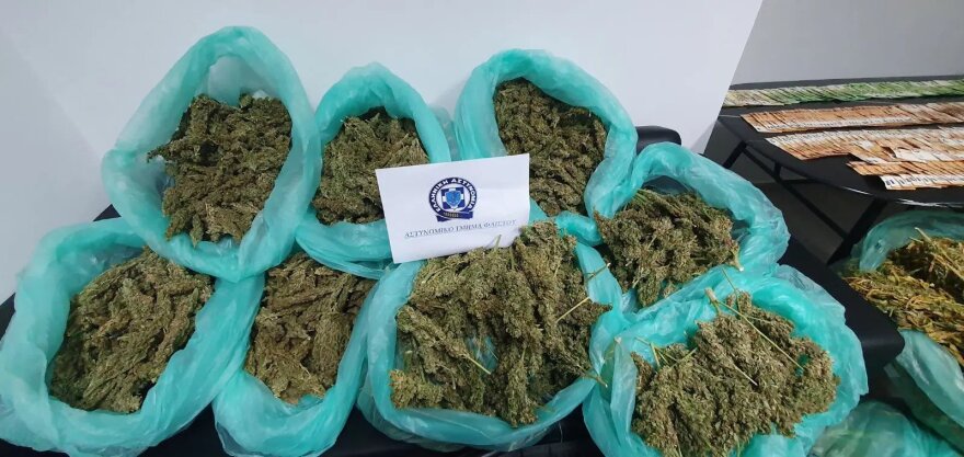 Κρήτη: Βρήκαν και όπλα στα θερμοκήπια με τα 780 χασισόδεντρα