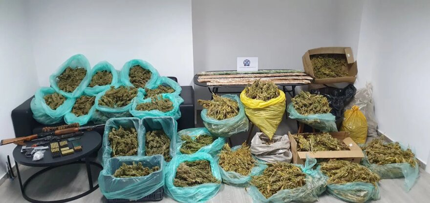 Κρήτη: Βρήκαν και όπλα στα θερμοκήπια με τα 780 χασισόδεντρα