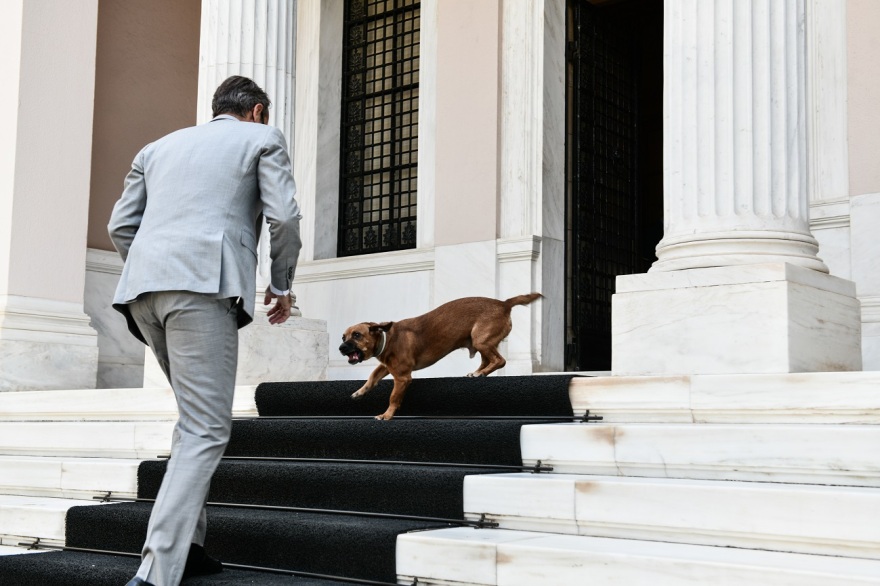 Εκλογές 2023: Τελευταίος… και με ταξί έφυγε ο Πίνατ από το Μαξίμου, πάει Πειραιώς το «κομματόσκυλο»