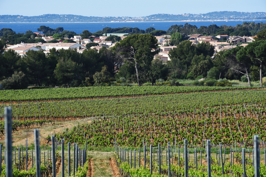 Chateau Sainte Marguerite: Το ροζέ «διαμάντι» της Προβηγκίας και η συμφωνία των εκατομμυρίων ευρώ 