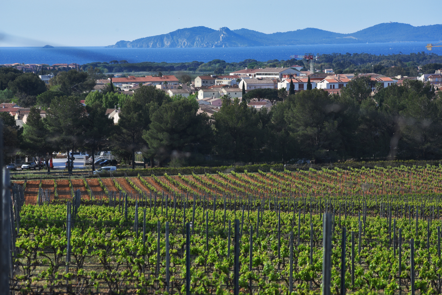 Chateau Sainte Marguerite: Το ροζέ «διαμάντι» της Προβηγκίας και η συμφωνία των εκατομμυρίων ευρώ 