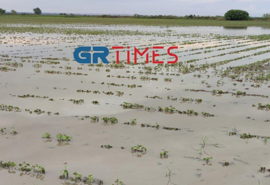 Πέλλα: Το μπουρίνι μετέτρεψε τα χωράφια σε... λιμνοθάλασσες - Καταστράφηκαν οι καλλιέργειες (βίντεο)