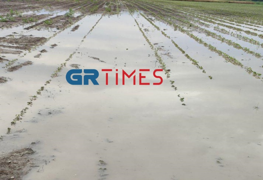 Πέλλα: Το μπουρίνι μετέτρεψε τα χωράφια σε... λιμνοθάλασσες - Καταστράφηκαν οι καλλιέργειες (βίντεο)