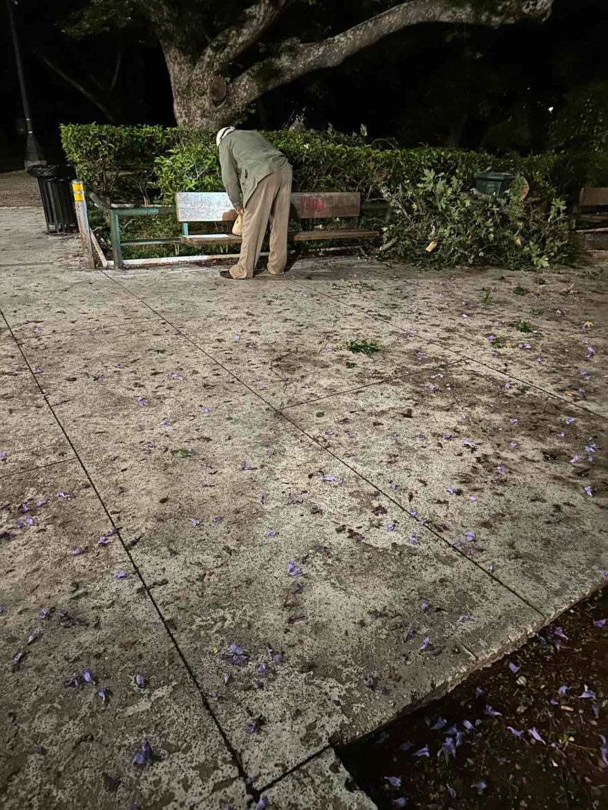 Παρ' ολίγον τραγωδία στο Ζάππειο - Κλαδί καταπλάκωσε τρεις Καναδούς τουρίστες