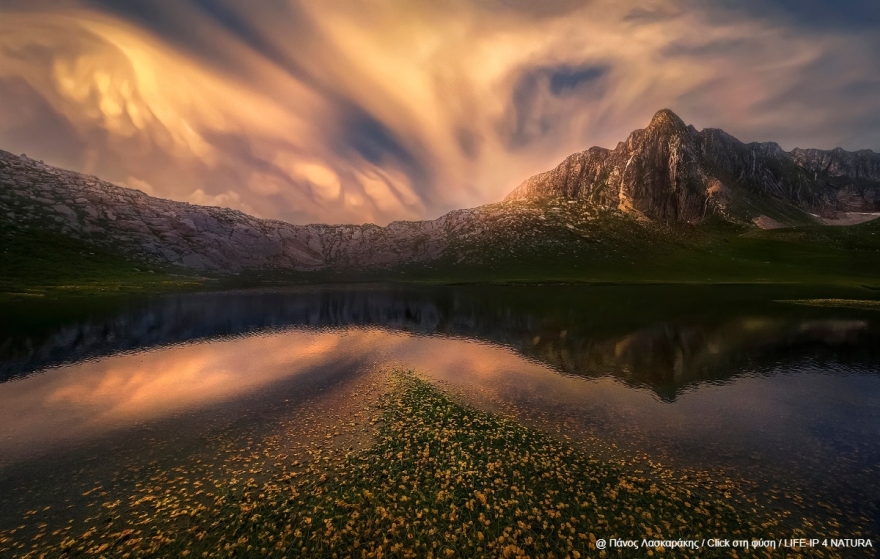 Oι νικητές του τρίτου πανελλήνιου φωτογραφικού διαγωνισμού «Click στη φύση»