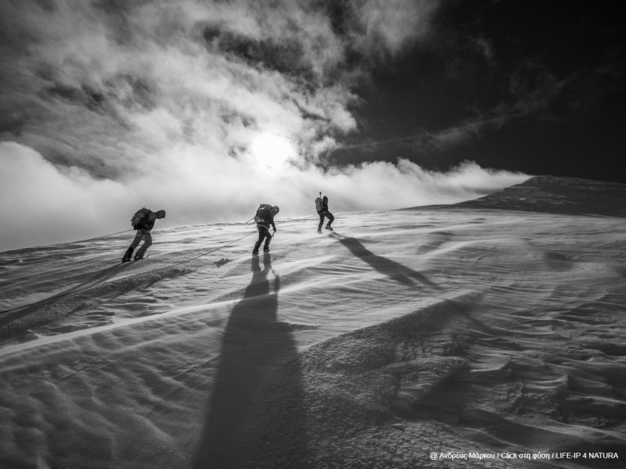 Oι νικητές του τρίτου πανελλήνιου φωτογραφικού διαγωνισμού «Click στη φύση»