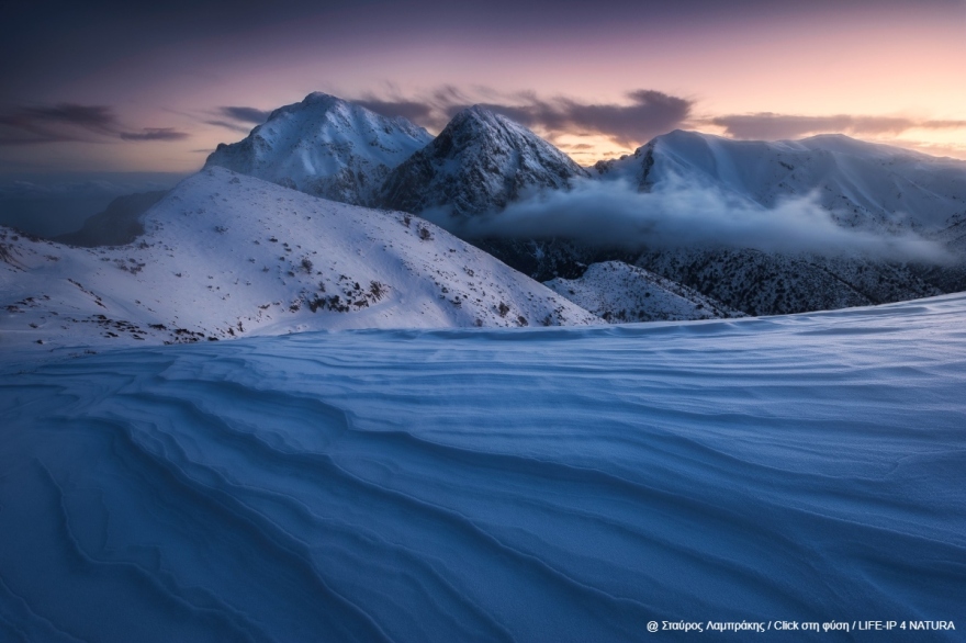 Oι νικητές του τρίτου πανελλήνιου φωτογραφικού διαγωνισμού «Click στη φύση»