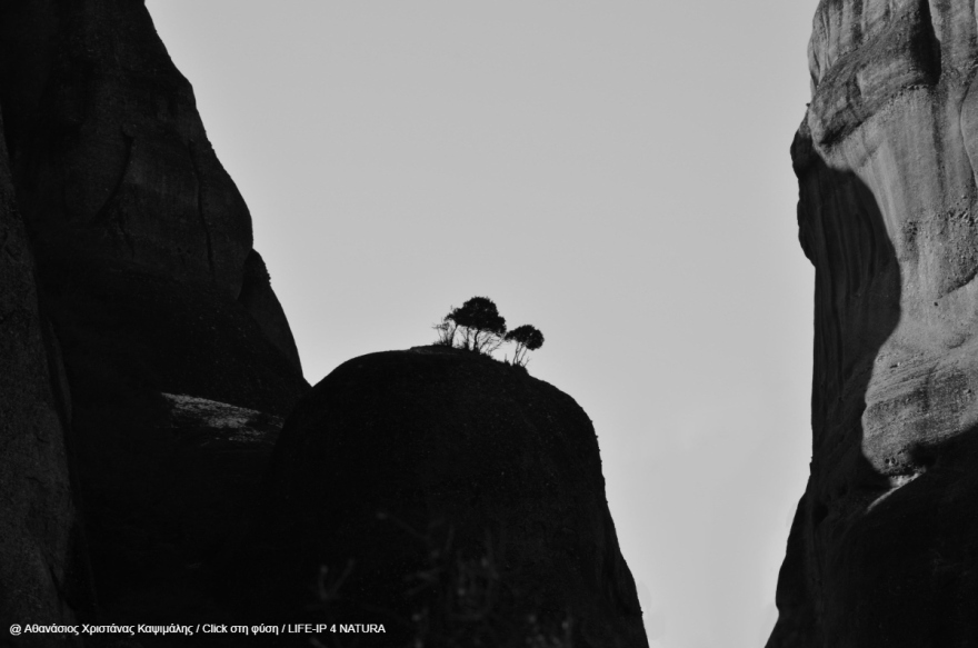 Oι νικητές του τρίτου πανελλήνιου φωτογραφικού διαγωνισμού «Click στη φύση»