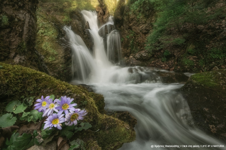 Oι νικητές του τρίτου πανελλήνιου φωτογραφικού διαγωνισμού «Click στη φύση»