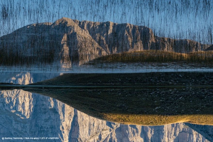 Oι νικητές του τρίτου πανελλήνιου φωτογραφικού διαγωνισμού «Click στη φύση»