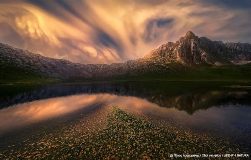 Oι νικητές του τρίτου πανελλήνιου φωτογραφικού διαγωνισμού «Click στη φύση»