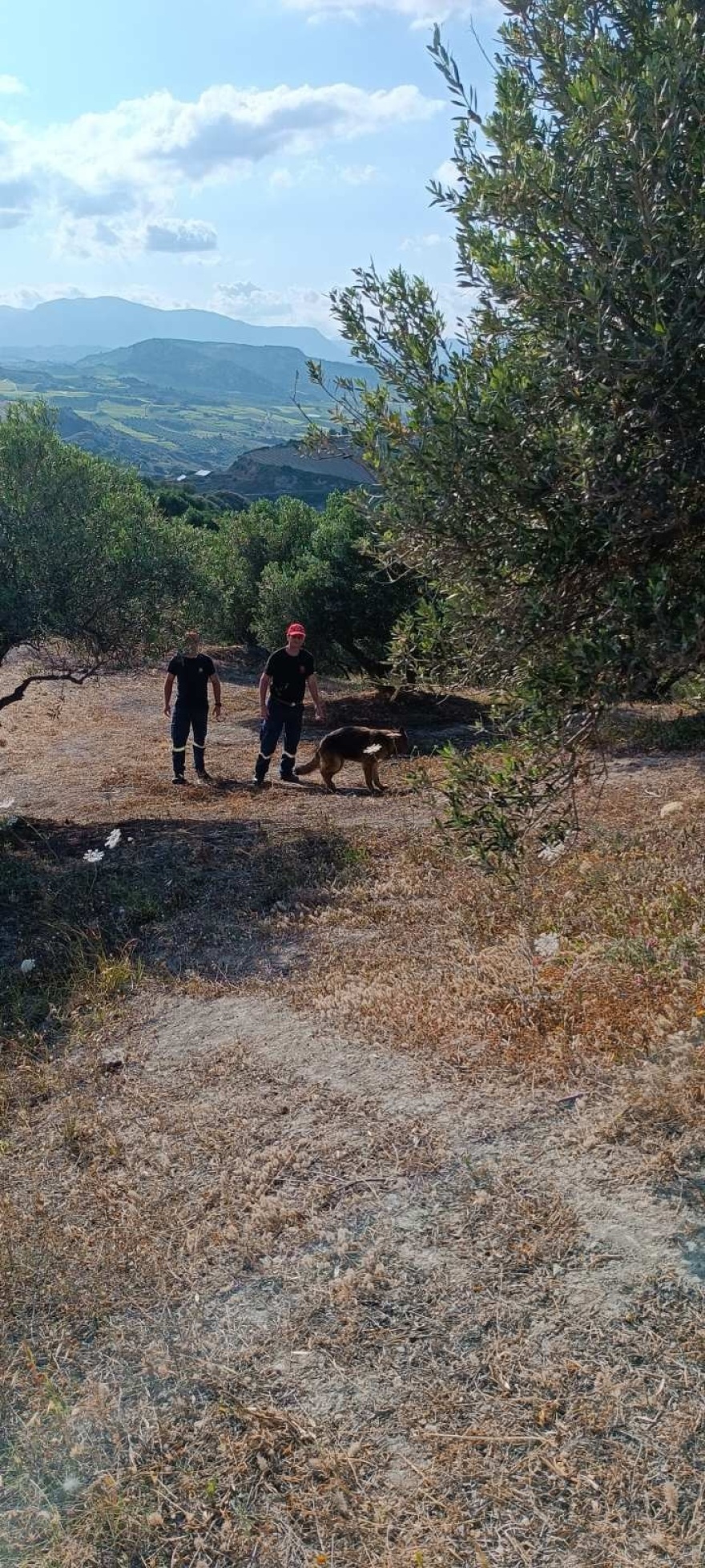 Κρήτη: Βρέθηκε η 48χρονη που εξαφανίστηκε ενώ μάζευε σαλιγκάρια