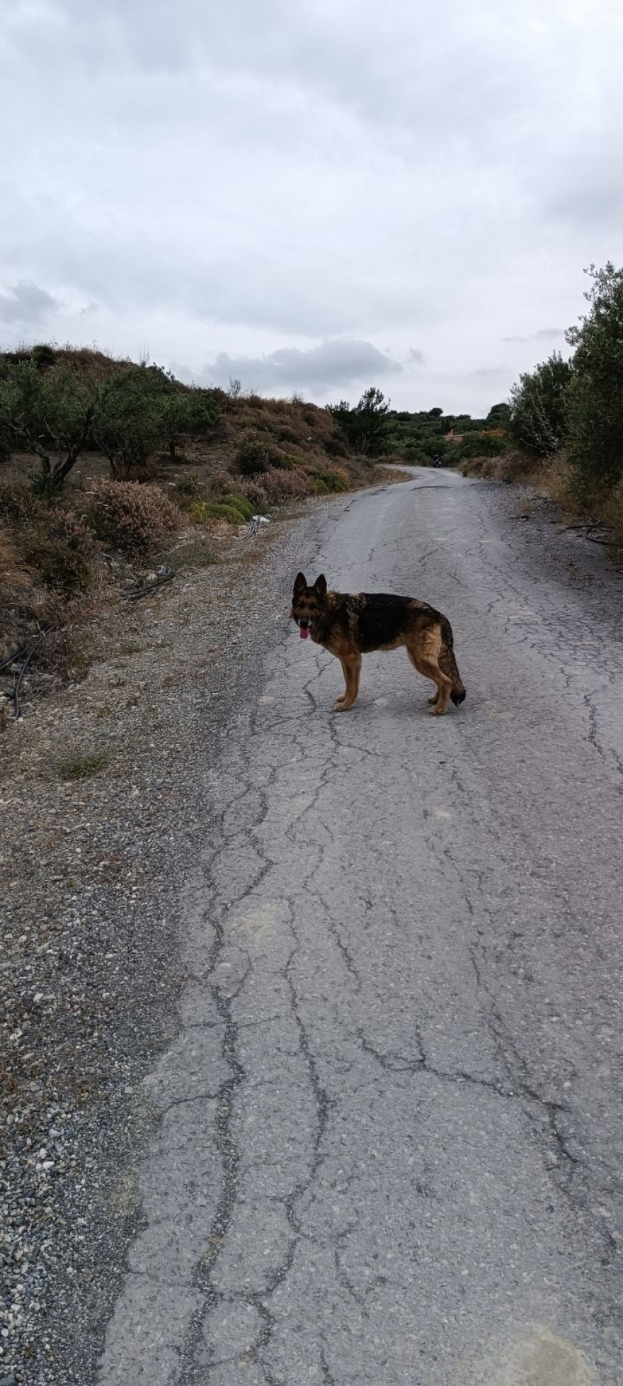 Κρήτη: Βρέθηκε η 48χρονη που εξαφανίστηκε ενώ μάζευε σαλιγκάρια