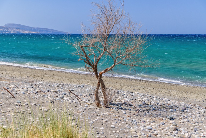 Πόσο κινδυνεύει και πώς προστατεύεται η ελληνική φύση;