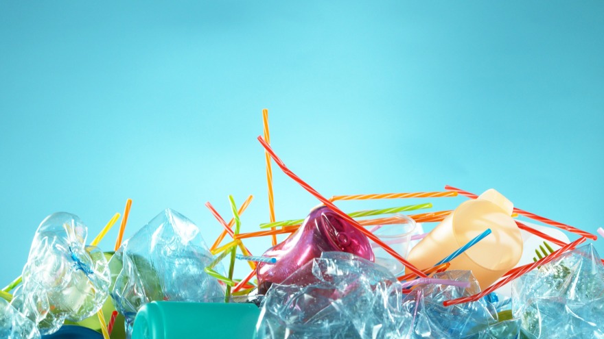 Τι σημαίνει «sustainable lifestyle»; Ένας μικρός οδηγός για τη νέα εποχή του βιώσιμου τρόπου ζωής