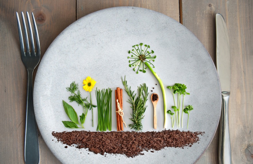 Τι σημαίνει «sustainable lifestyle»; Ένας μικρός οδηγός για τη νέα εποχή του βιώσιμου τρόπου ζωής