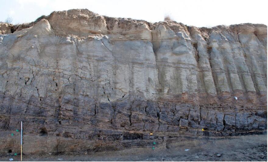 Μεγαλόπολη Αρκαδίας: Ήρθαν στο φως σημαντικά ευρήματα για την παλαιολιθική εποχή  