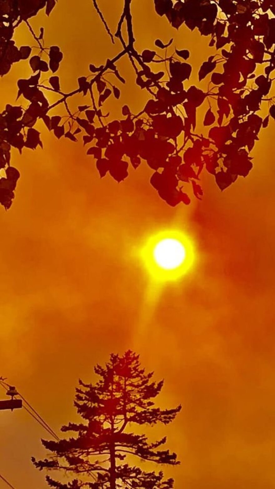 Καναδάς - πυρκαγιές: Μαίνονται οι φωτιές στη Νέα Σκωτία, περιμένουν τη βροχή