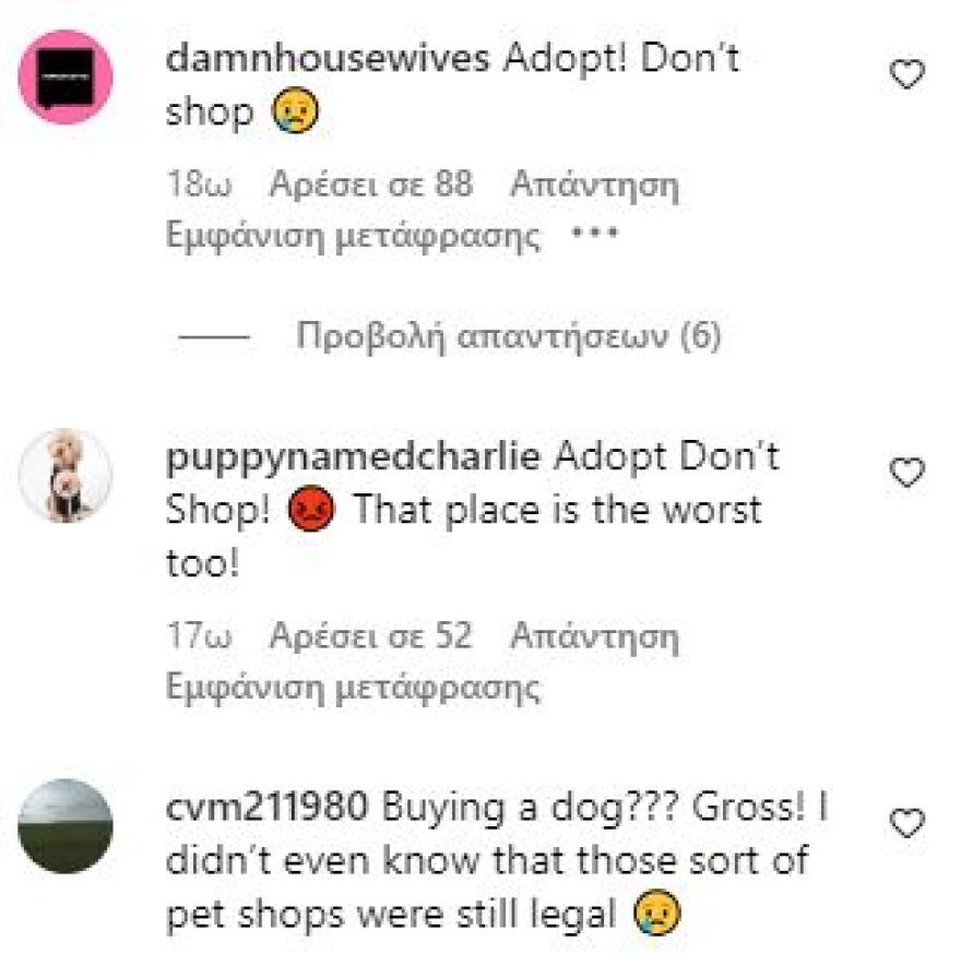 Πιτ Ντέιβιντσον: Δέχτηκε «κράξιμο» για την απόφασή του να αγοράσει σκύλο αντί να υιοθετήσει - «Είναι αηδιαστικό»