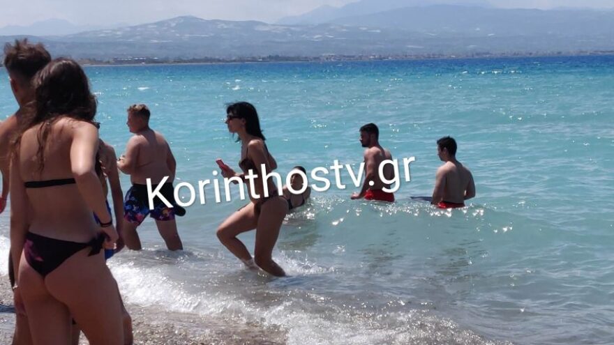 «Σαν άνθρωπος» περίμενε το δελφινάκι να το διασώσουν - Δείτε βίντεο