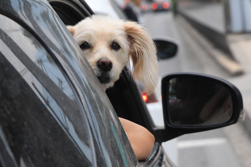 Κυκλοφοριακό χάος: Γιατί έχει τόση κίνηση μετά το lockdown; Ποια έργα θα τη μειώσουν