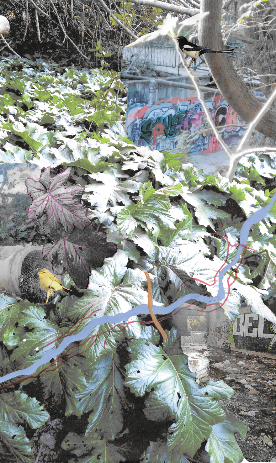 Στο θέατρο Ρεματιάς η εικαστική έκθεση Rema Incognita - Οι βιωματικές εμπειρίες 17 καλλιτεχνών 