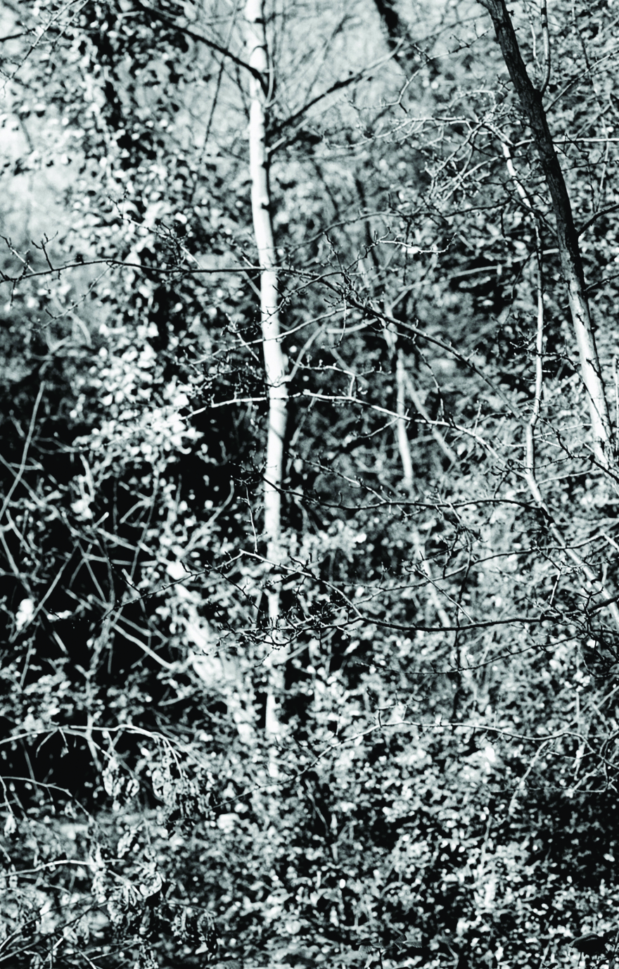 Στο θέατρο Ρεματιάς η εικαστική έκθεση Rema Incognita - Οι βιωματικές εμπειρίες 17 καλλιτεχνών 