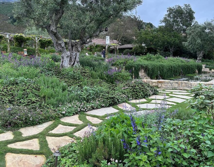 Κρις Πρατ - Κάθριν Σβαρτσενέγκερ: Γιόρτασαν 4 χρόνια γάμου - «Αγαπώ τη ζωή μαζί σου»