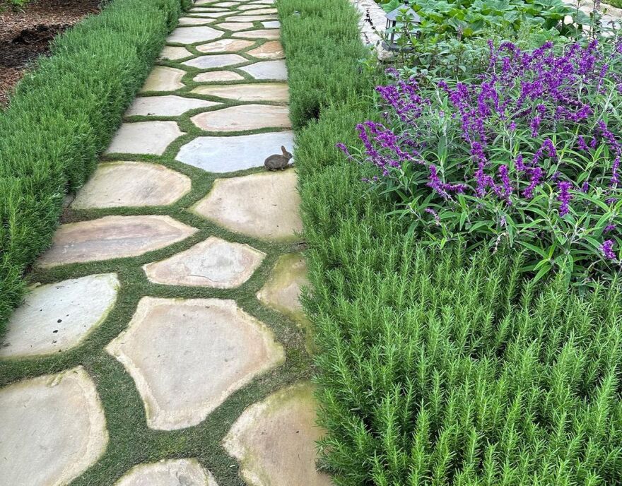 Κρις Πρατ - Κάθριν Σβαρτσενέγκερ: Γιόρτασαν 4 χρόνια γάμου - «Αγαπώ τη ζωή μαζί σου»