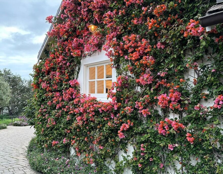 Κρις Πρατ - Κάθριν Σβαρτσενέγκερ: Γιόρτασαν 4 χρόνια γάμου - «Αγαπώ τη ζωή μαζί σου»