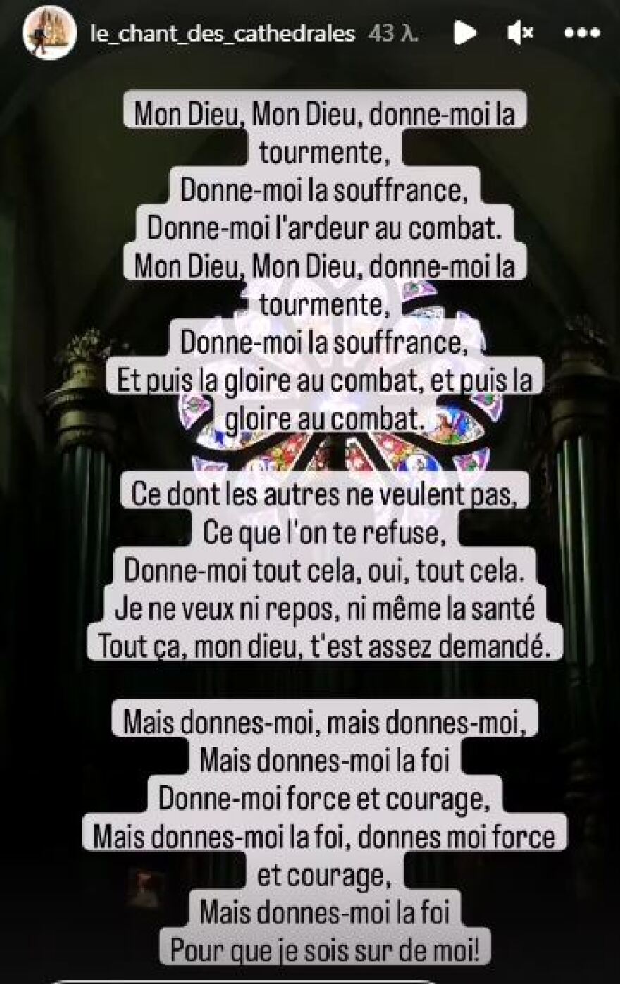 Γαλλία: Σοκαρισμένη η χώρα από την επίθεση του Σύρου σε παιδιά - Τα δύο ξαδέρφια και ο 24χρονος ήρωας με το σακίδιο